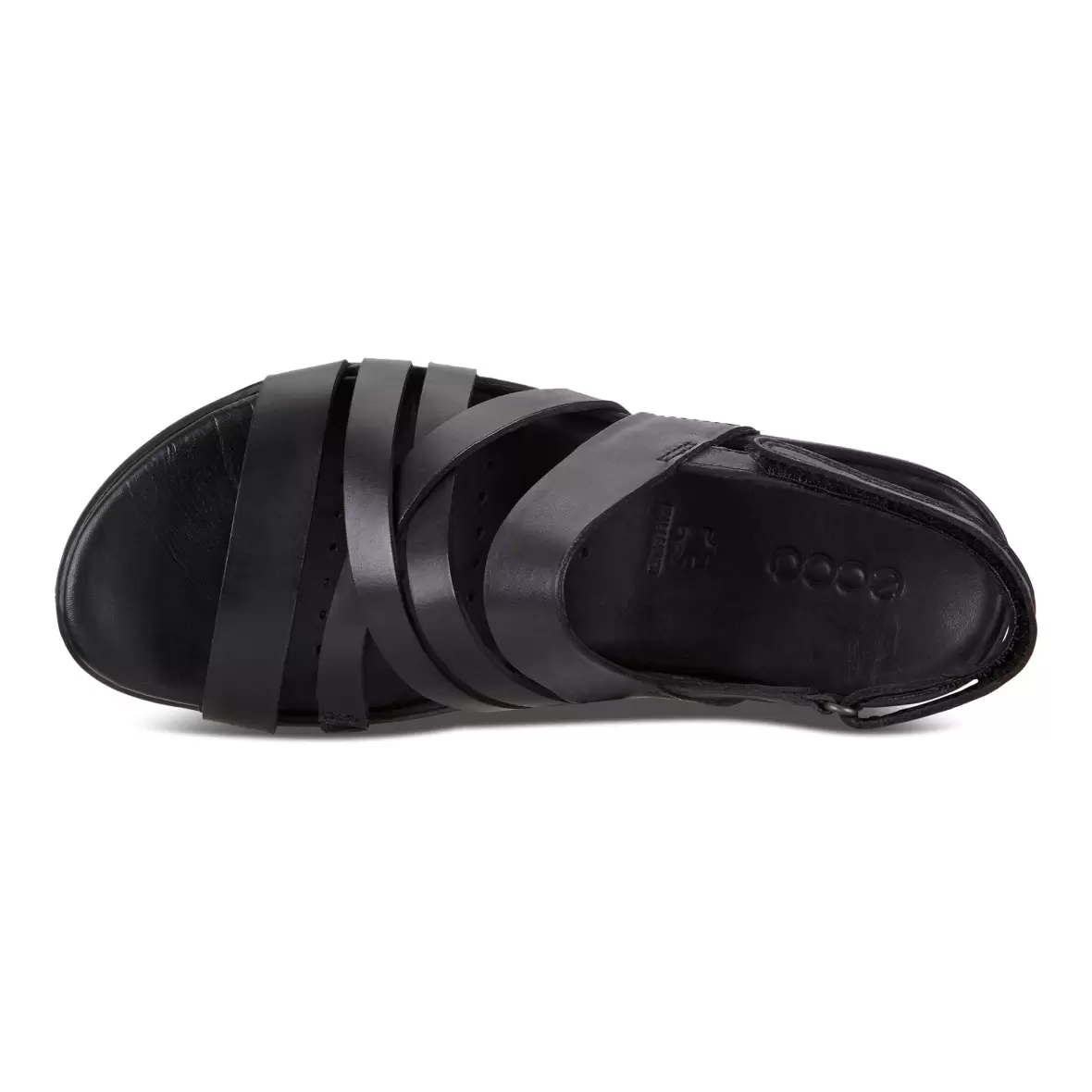 Ecco 243913 best sale