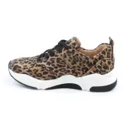 Dame Sneakers - BILLI BI - Billi Bi  Sport 8840 549