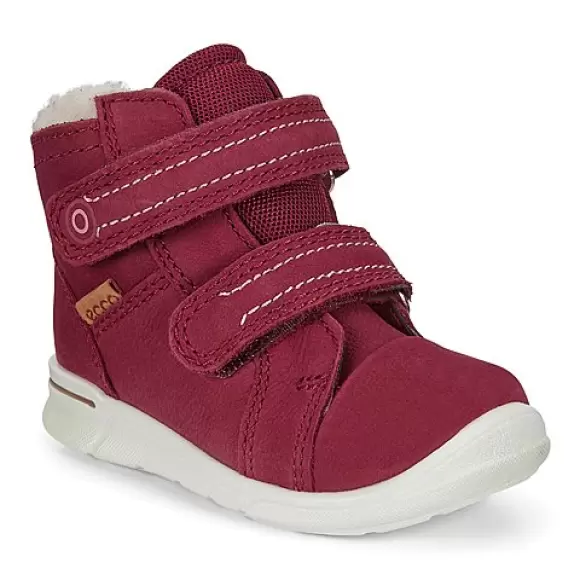 Ecco first syrah 754311-02480