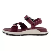 Dame Sandaler - ECCO - ECCO EXOWRAP W 811843-60565