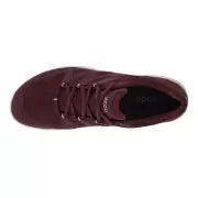 Dame Sneakers - ECCO - ECCO TERRACRUISE LT W LOW GTX 825783-59223