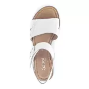 Dame Sandaler - GABOR - Gabor Cervo 46.062.50