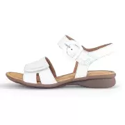 Dame Sandaler - GABOR - Gabor Cervo 46.062.50