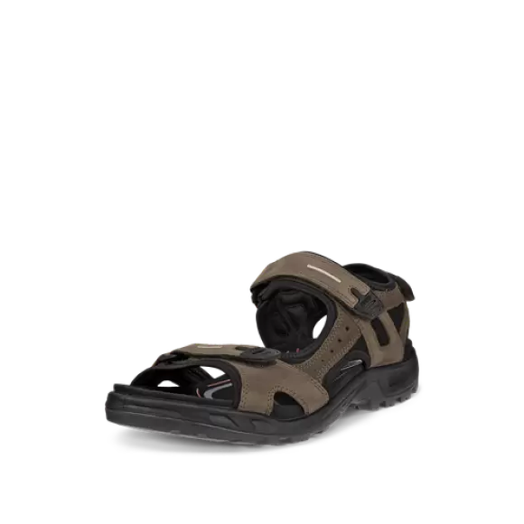 Herre Sandaler - ECCO - ECCO Offroad Mens Sports Sandal 069564-55894