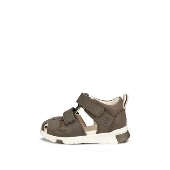 Børne Sandaler - ECCO - ECCO Mini Stride Sandal 2S 761131-02543