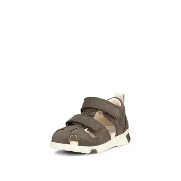 Børne Sandaler - ECCO - ECCO Mini Stride Sandal 2S 761131-02543