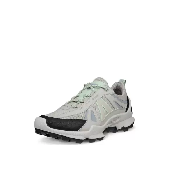 Dame Sneakers - ECCO - ECCO BIOM C-TRAIL W INV-GTX 803463-61423