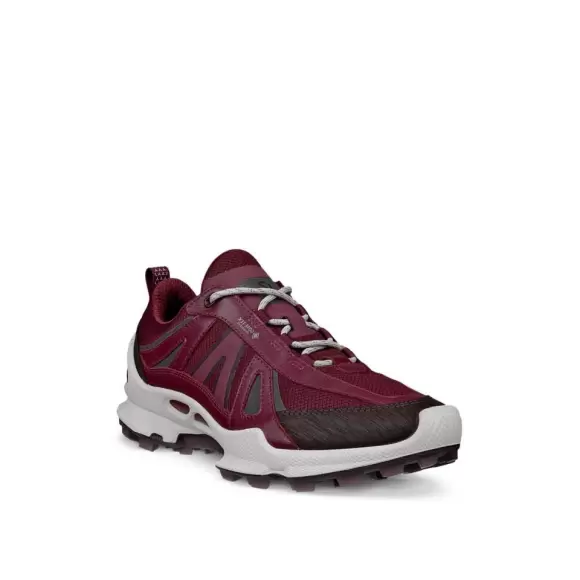 Dame Sneakers - ECCO - ECCO BIOM C-TRAIL W INV-GTX 803463-61424