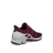 Dame Sneakers - ECCO - ECCO BIOM C-TRAIL W INV-GTX 803463-61424