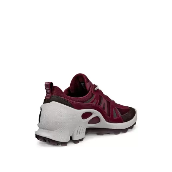 Dame Sneakers - ECCO - ECCO BIOM C-TRAIL W INV-GTX 803463-61424
