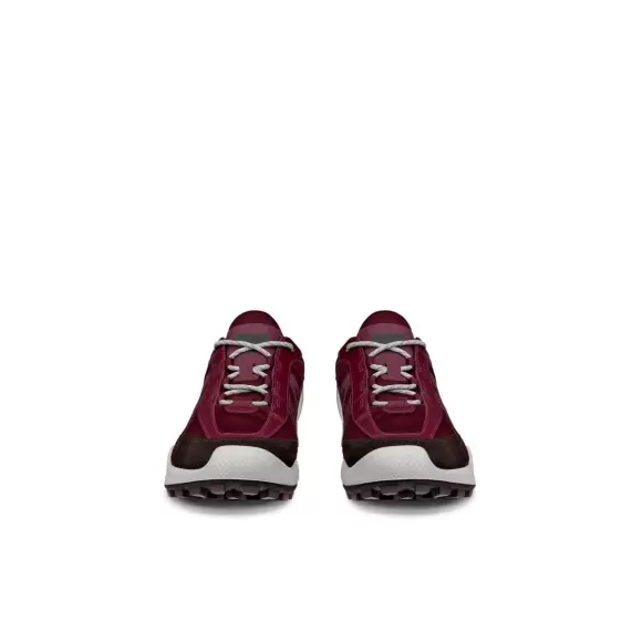 Dame Sneakers - ECCO - ECCO BIOM C-TRAIL W INV-GTX 803463-61424