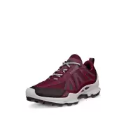Dame Sneakers - ECCO - ECCO BIOM C-TRAIL W INV-GTX 803463-61424