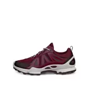Dame Sneakers - ECCO - ECCO BIOM C-TRAIL W INV-GTX 803463-61424