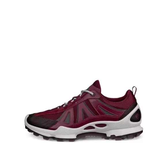 Dame Sneakers - ECCO - ECCO BIOM C-TRAIL W INV-GTX 803463-61424