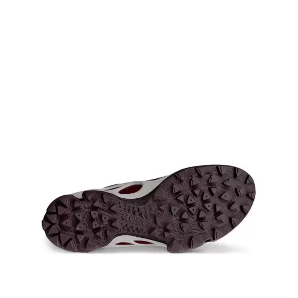 Dame Sneakers - ECCO - ECCO BIOM C-TRAIL W INV-GTX 803463-61424
