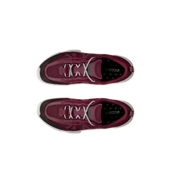 Dame Sneakers - ECCO - ECCO BIOM C-TRAIL W INV-GTX 803463-61424