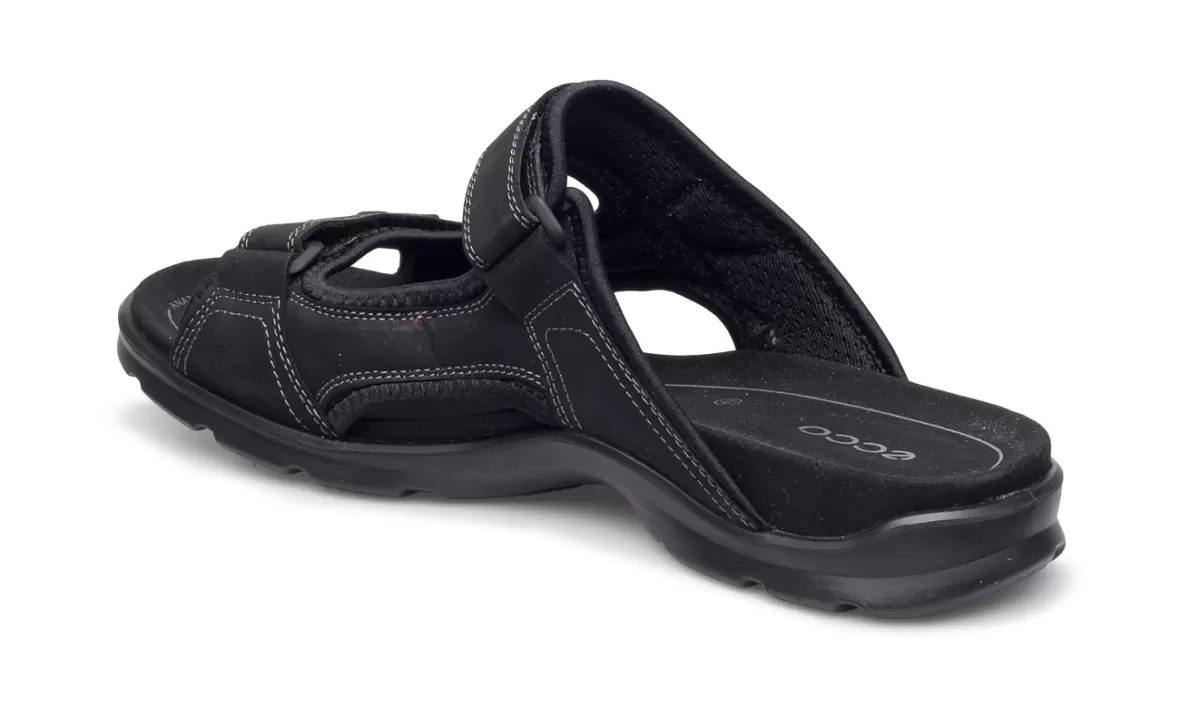 Ecco utah online