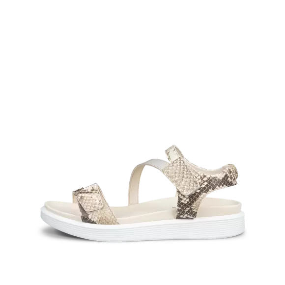 Dame Sandaler - ECCO - ECCO SOFT SANDAL W 3-STRAP 238803-61651