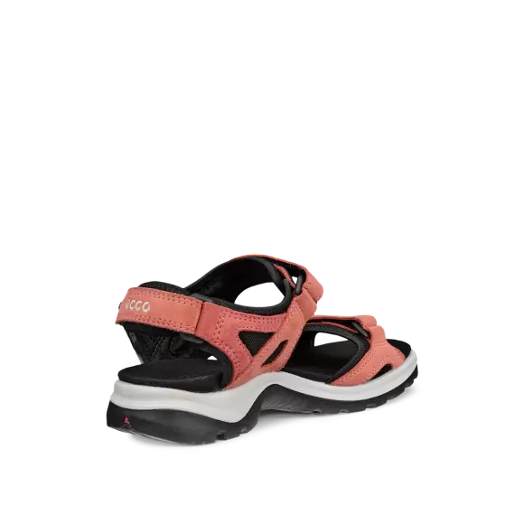 Dame Sandaler - ECCO - ECCO OFFROAD W SANDAL 069563-61539