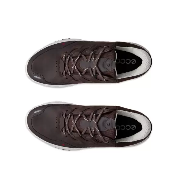 Herresko - ECCO - ECCO RECEPTOR XP M WP SHOE 85431458500