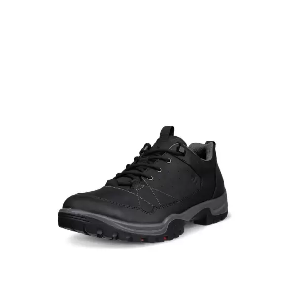 Herresko - ECCO - ECCO RECEPTOR TREKK M WP SHOE 85560451052