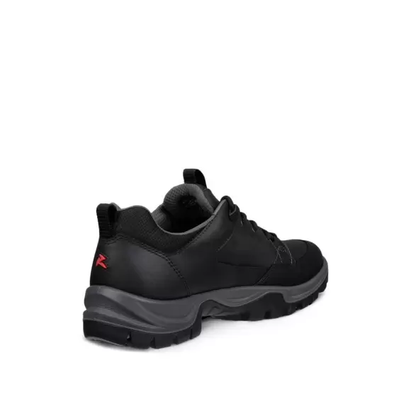 Herresko - ECCO - ECCO RECEPTOR TREKK M WP SHOE 85560451052