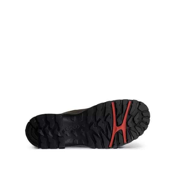 Herresko - ECCO - ECCO RECEPTOR TREKK M WP SHOE 85560461927