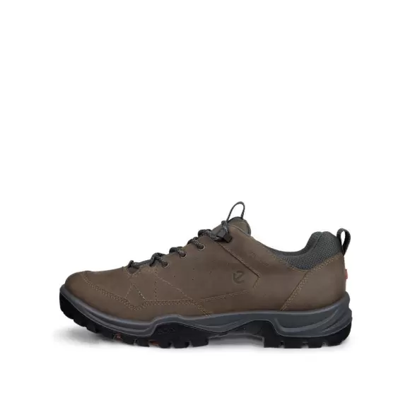 Herresko - ECCO - ECCO RECEPTOR TREKK M WP SHOE 85560461927